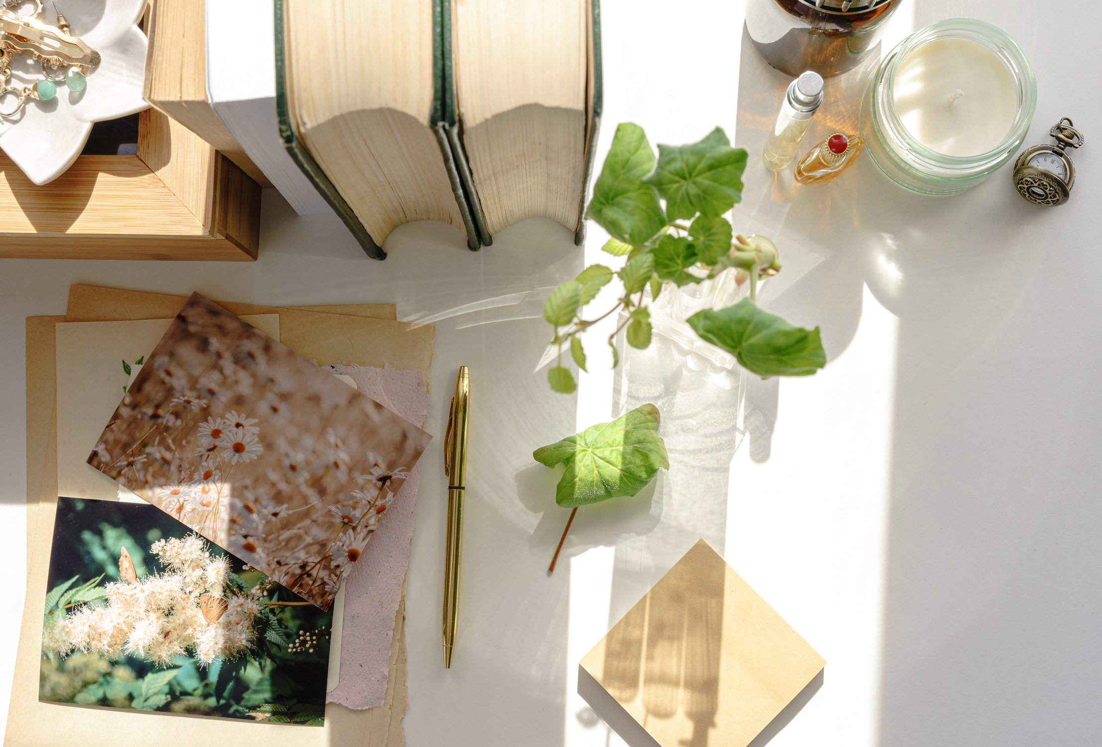 Aesthetic cottagecore and academia desk with green and beige items, nature and biology, slow living